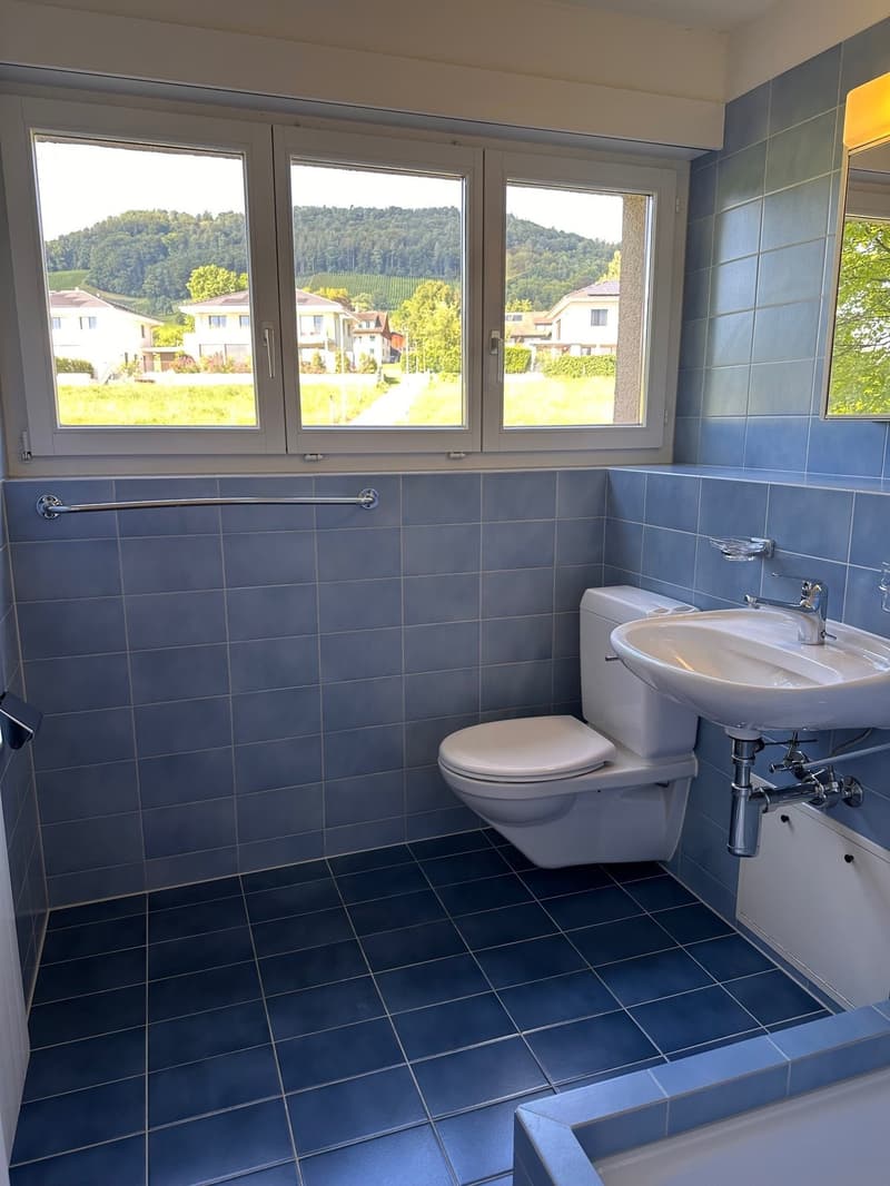 Helle 4.5-Zimmer-Wohnung mit sonnigem Balkon in Weinfelden (7)