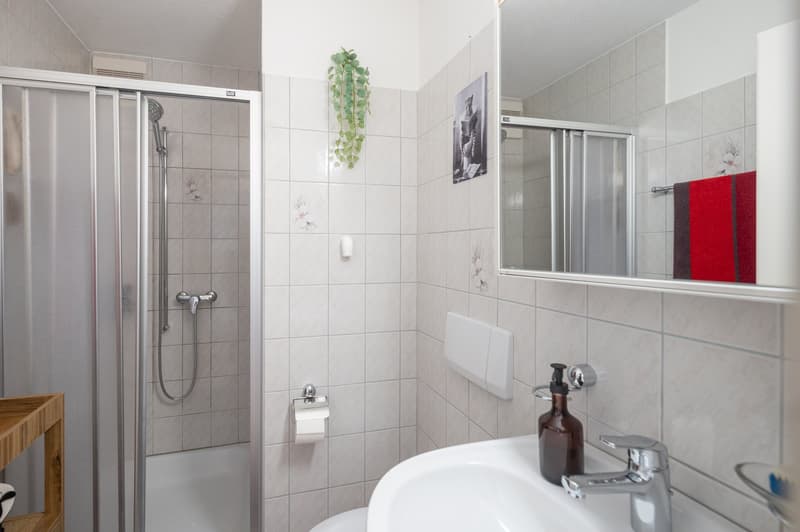 Schöne 4.5-Zimmer-Wohnung in ruhigem Quartier (7)