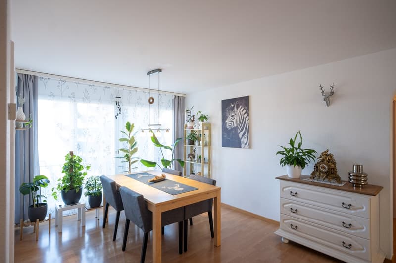 Schöne 4.5-Zimmer-Wohnung in ruhigem Quartier (2)