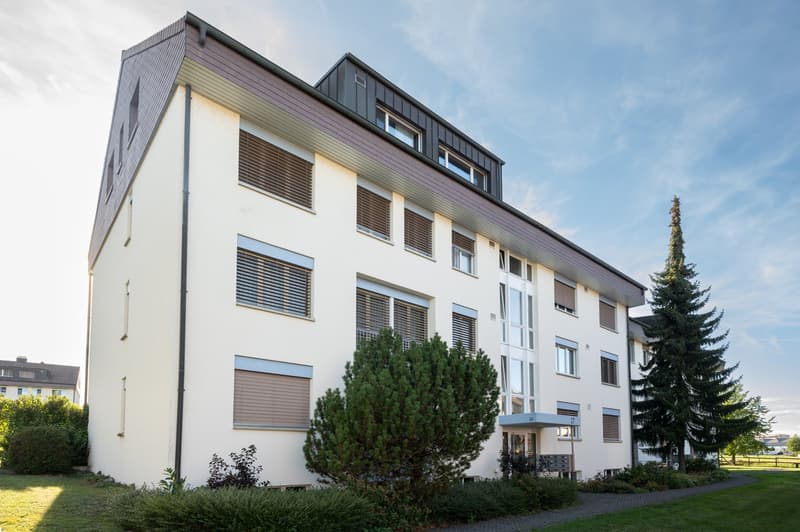 Schöne 4.5-Zimmer-Wohnung in ruhigem Quartier (1)