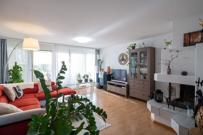 Schöne 4.5-Zimmer-Wohnung in ruhigem Quartier (3)