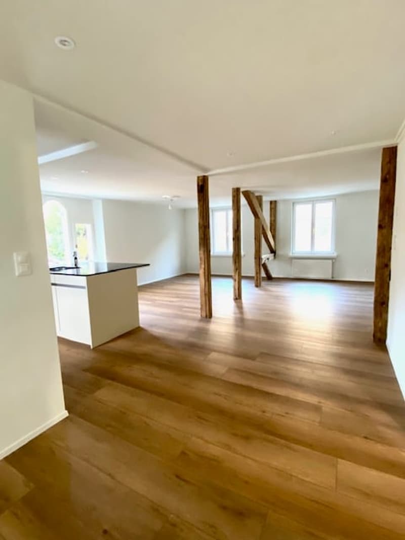 5,5 Zimmer-Attika Wohnung im Zentrum von Glarus mit grosszügiger Terrasse (7)