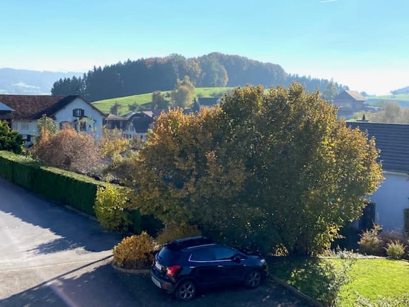 4,5 Zimmer Wohnung mit Balkon und Aussicht ins Grüne (10)