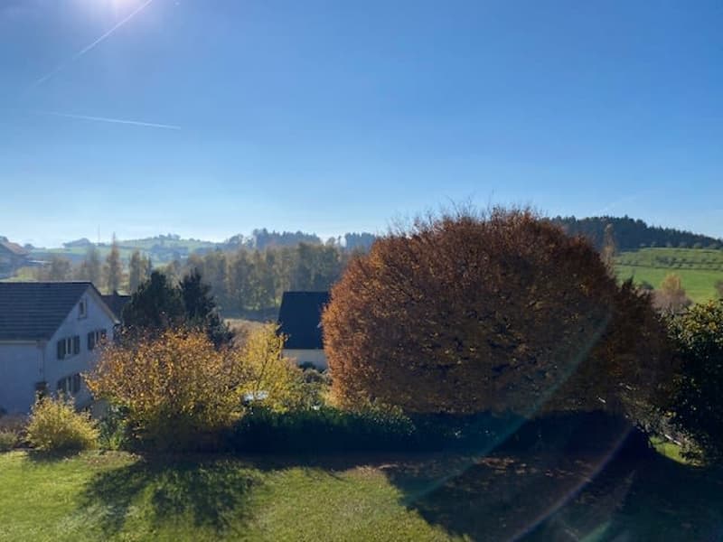 4,5 Zimmer Wohnung mit Balkon und Aussicht ins Grüne (2)