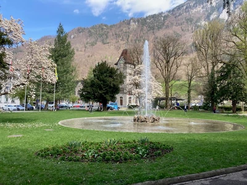 5,5 Zimmer-Attika Wohnung im Zentrum von Glarus mit grosszügiger Terrasse (5)