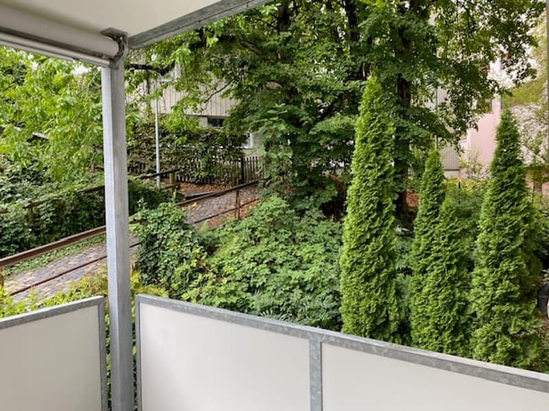 Repräsentrative Büroetage in der Altstadt von Herisau 5,5 Zimmer (5)