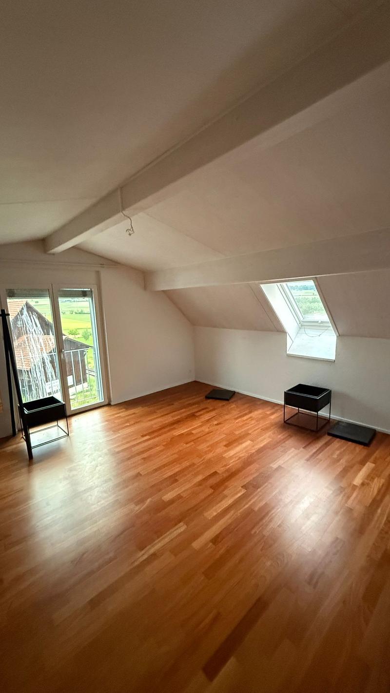 Luxuriöse 3 1/2 Minergie Maisonette Dach-Wohnung mit atemberaubende Aussicht und Balkon (20)