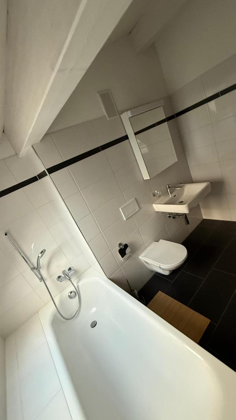 Luxuriöse 3 1/2 Minergie Maisonette Dach-Wohnung mit atemberaubende Aussicht und Balkon (10)