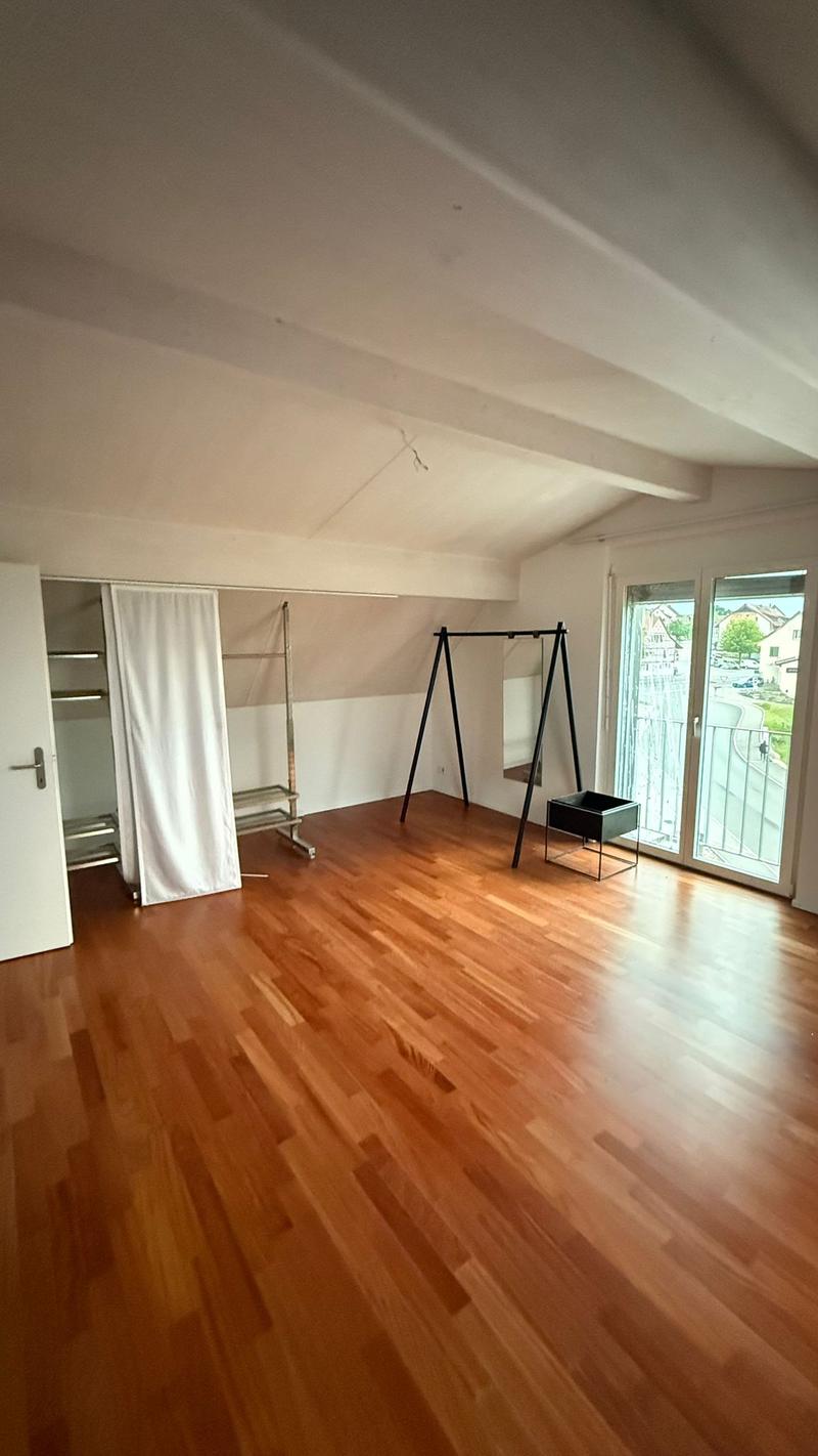Luxuriöse 3 1/2 Minergie Maisonette Dach-Wohnung mit atemberaubende Aussicht und Balkon (19)