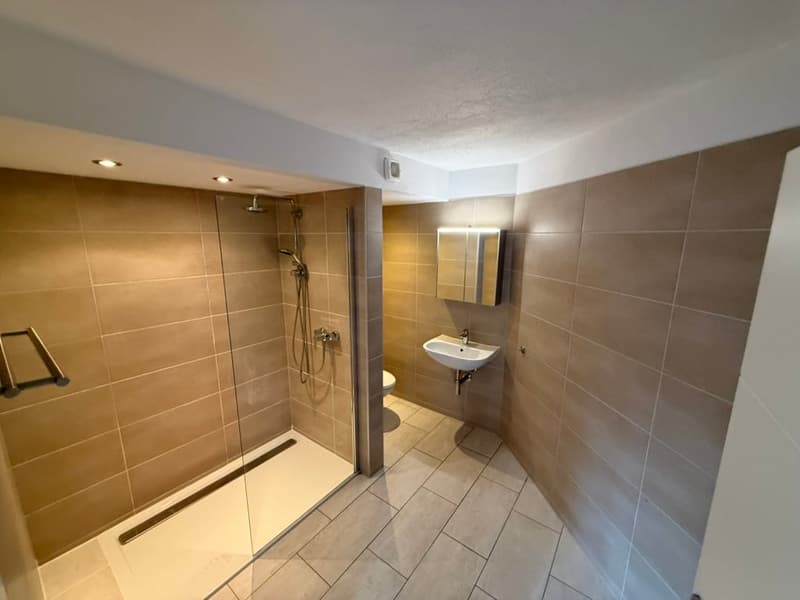 6.5 Zimmer Wohnung in Uzwil Zentrum mit Terrasse, Lift und 2 Bädern (9)
