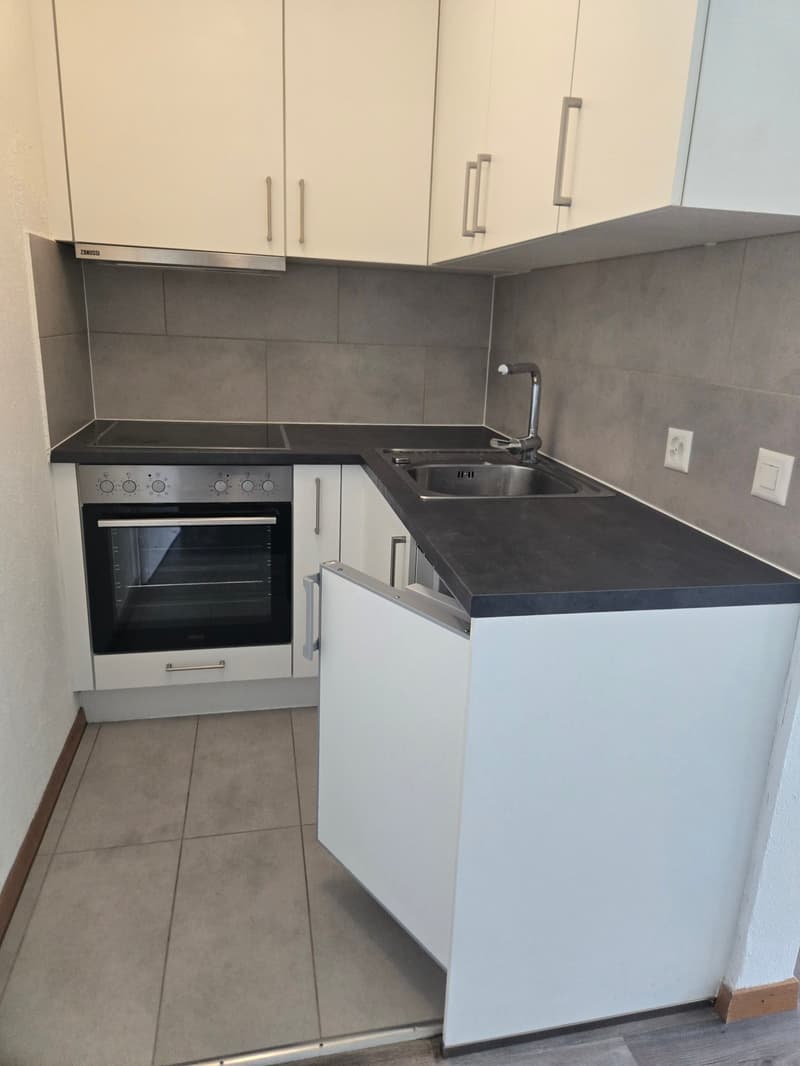 Charmante 2-Zimmer-Wohnung  an ruhiger Lage (11)