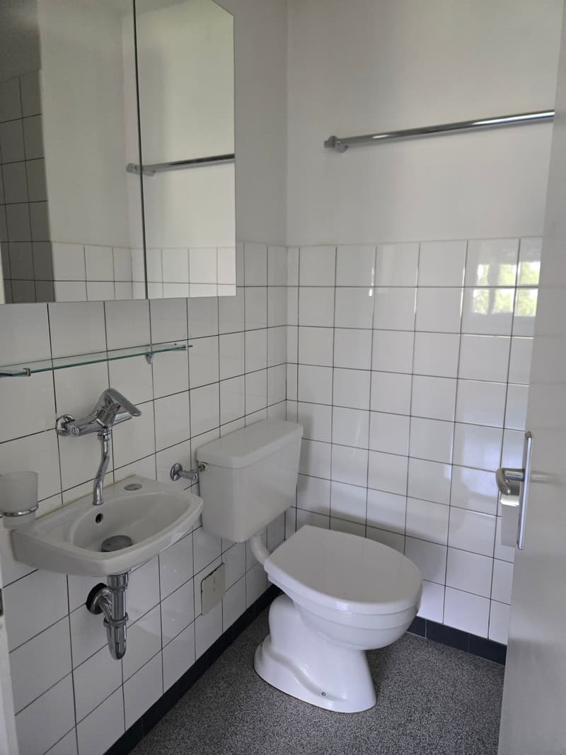 Charmante 2-Zimmer-Wohnung  an ruhiger Lage (8)