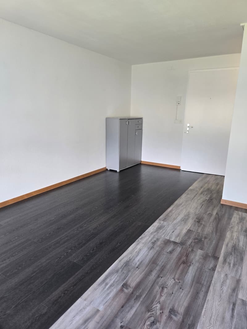Charmante 2-Zimmer-Wohnung  an ruhiger Lage (4)