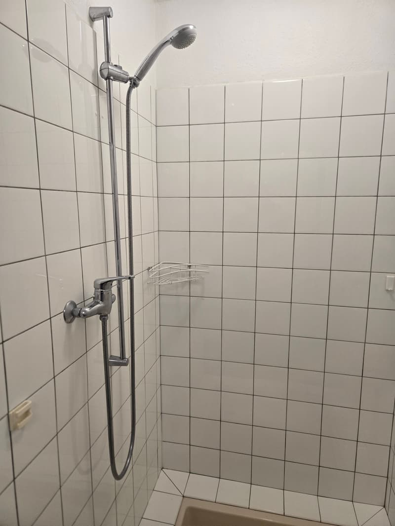 Charmante 2-Zimmer-Wohnung  an ruhiger Lage (7)