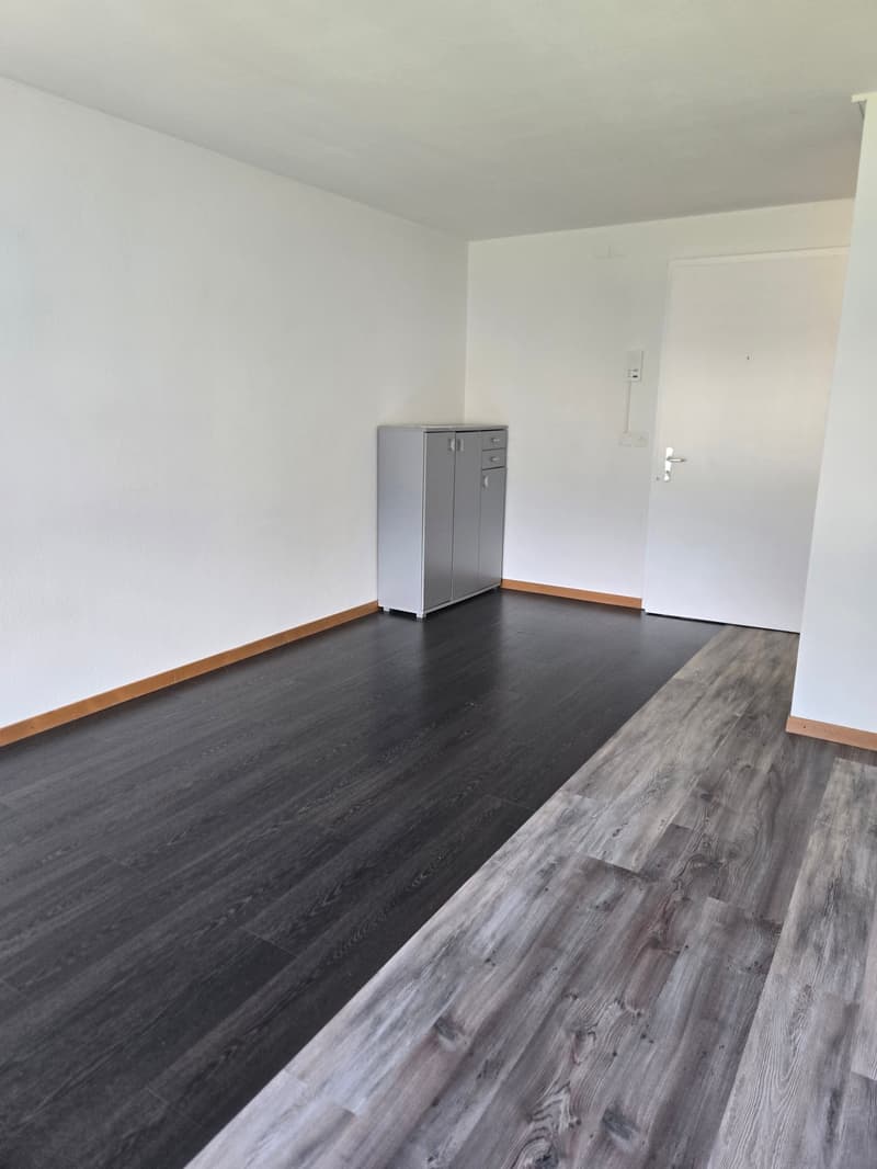 Charmante 2-Zimmer-Wohnung  an ruhiger Lage (3)