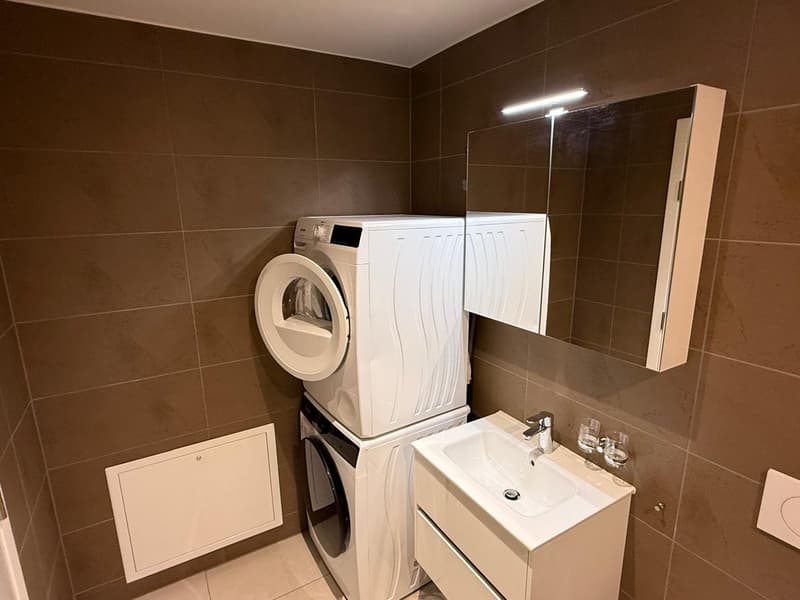 Luxuriöse 2 1/2 Zimmer-Wohnung mit eigenem Waschturm und grossen Balkon (9)