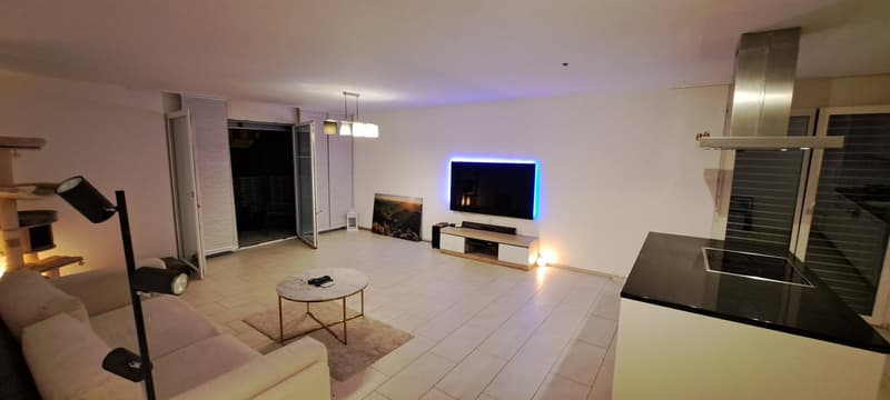 Luxuriöse 3 1/2 Minergie Maisonette Dach-Wohnung mit atemberaubende Aussicht und Balkon (5)