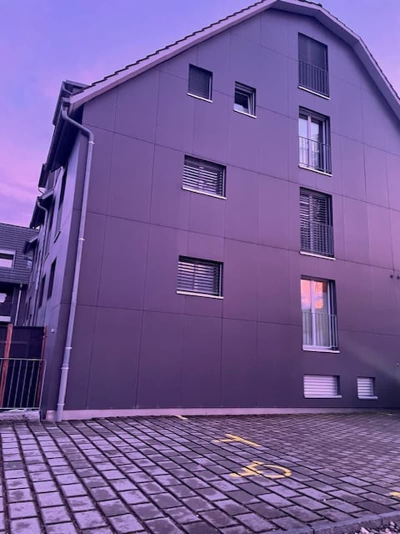 Luxuriöse 3 1/2 Minergie Maisonette Dach-Wohnung mit atemberaubende Aussicht und Balkon (19)