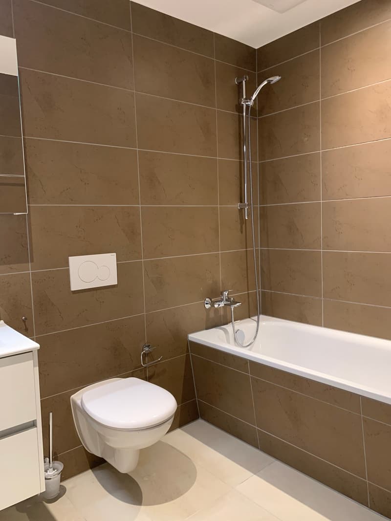 Moderne 3 1/2 Zimmer Traumwohnung mit zwei Bädern (5)