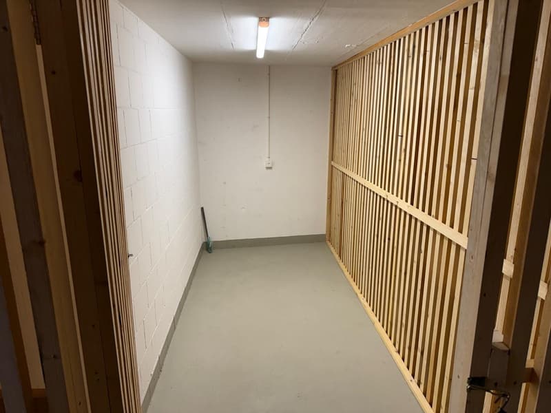 Moderne 3 1/2 Zimmer Traumwohnung mit zwei Bädern (13)