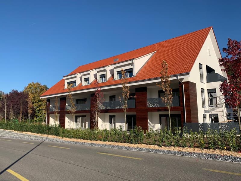 Moderne 3 1/2 Zimmer Traumwohnung mit zwei Bädern (2)