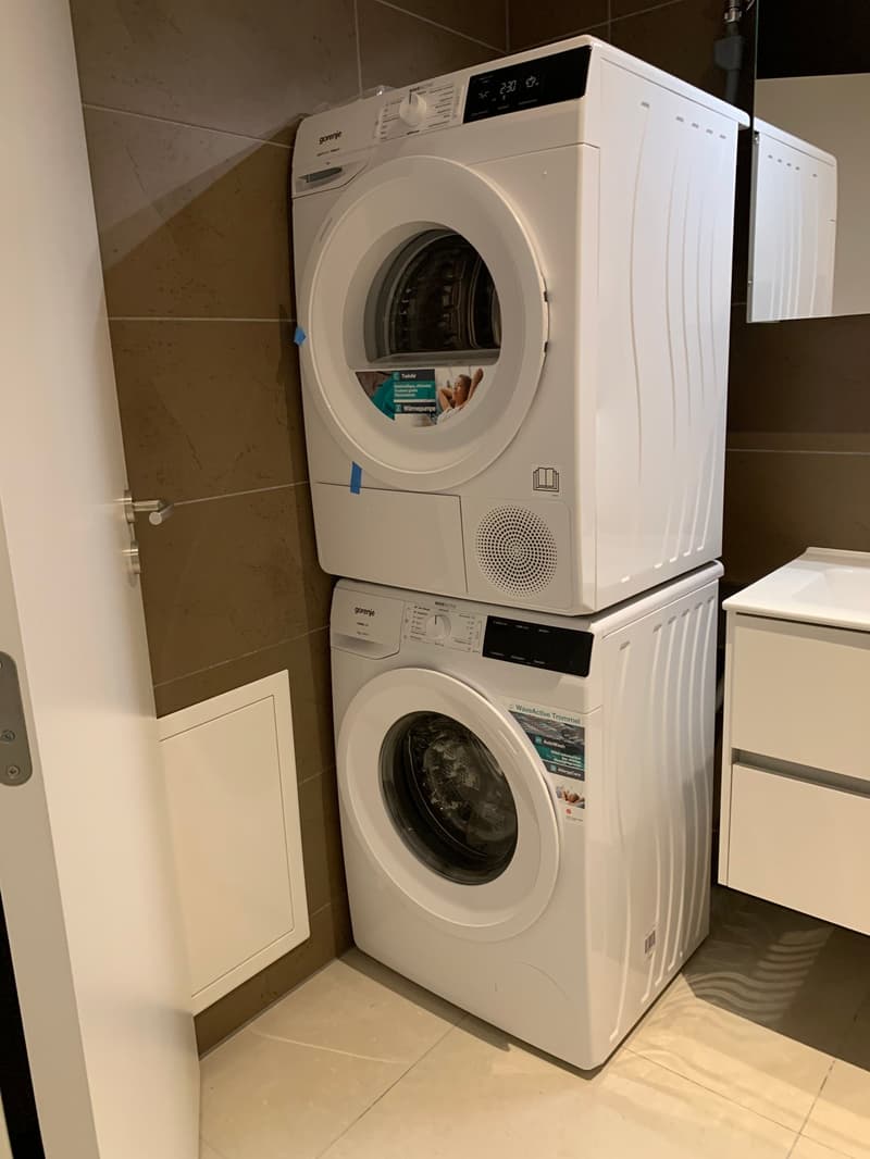 Moderne 3 1/2 Zimmer Traumwohnung mit zwei Bädern (3)