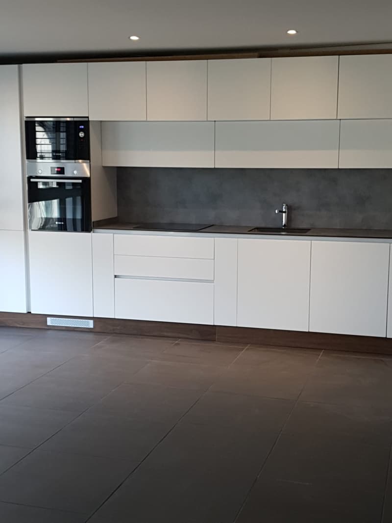 Moderne 3 1/2 Zimmer Traumwohnung mit zwei Bädern (4)