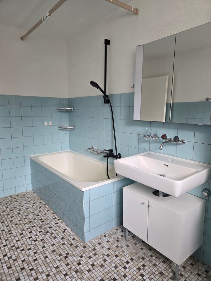 Exquisite 3 Zimmer-Wohnung mit Terrasse (6)