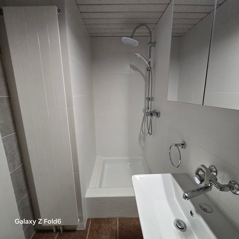 Gemütliche 2-Zimmer-Wohnung in ruhiger Lage in Langwies (17)