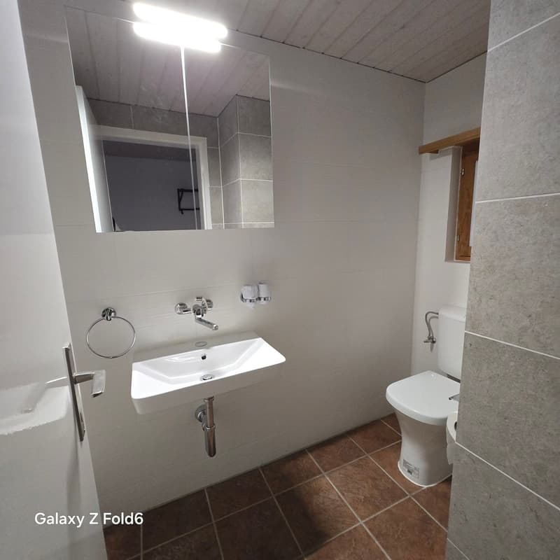 Gemütliche 2-Zimmer-Wohnung in ruhiger Lage in Langwies (16)