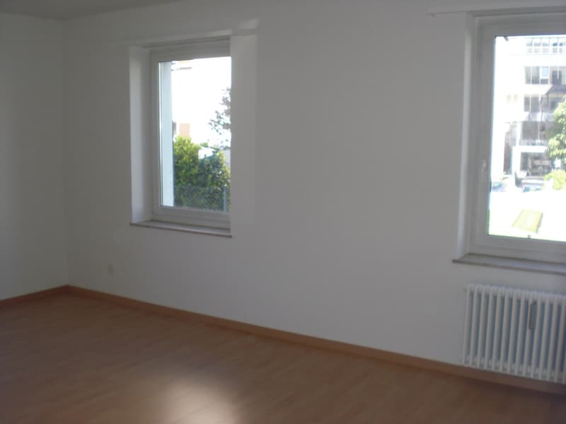 gemütliche 1-Zimmer-Wohnung im Osten der Stadt St. Gallen (2)