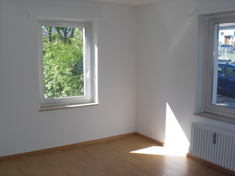 gemütliche 1-Zimmer-Wohnung im Osten der Stadt St. Gallen (1)