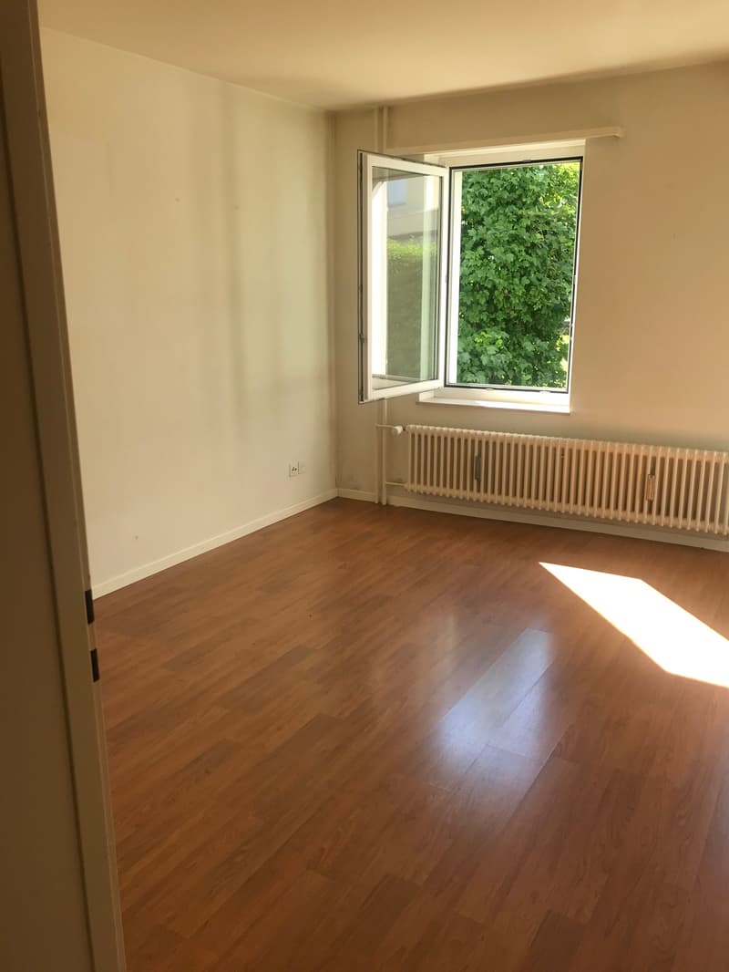 gemütliche 1-Zimmer-Wohnung im Osten der Stadt St. Gallen (1)