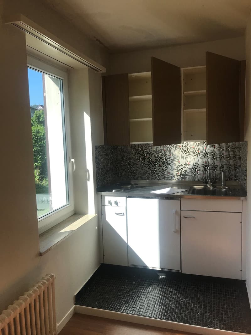 gemütliche 1-Zimmer-Wohnung im Osten der Stadt St. Gallen (3)