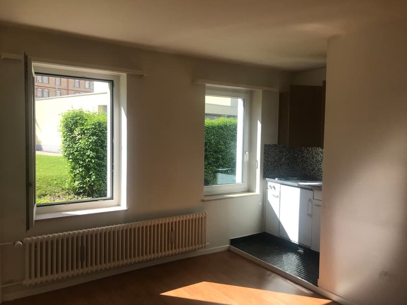 gemütliche 1-Zimmer-Wohnung im Osten der Stadt St. Gallen (2)