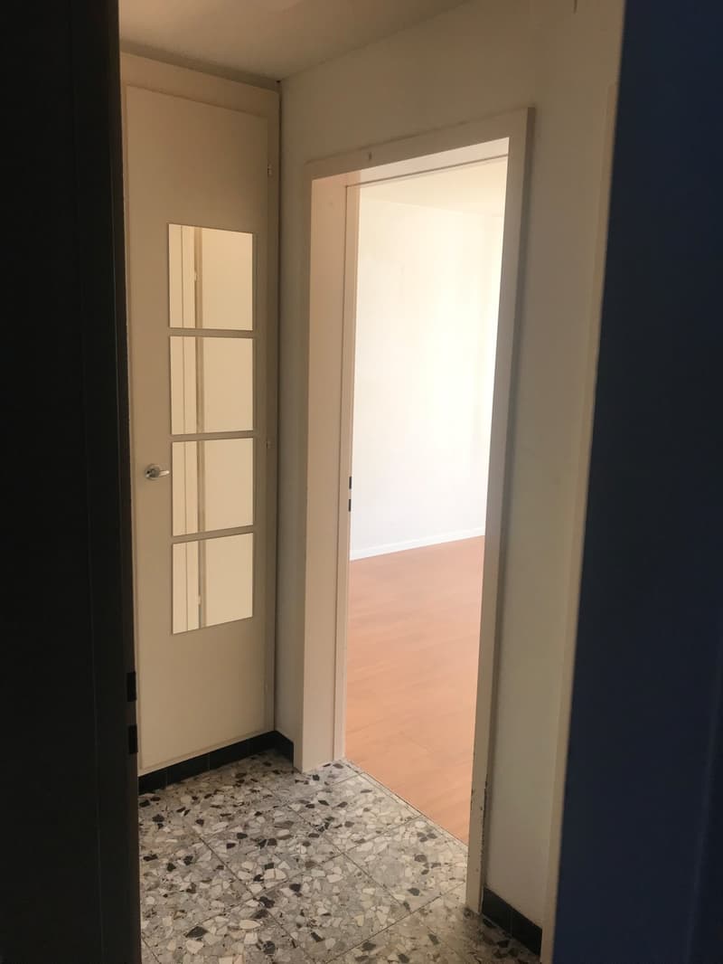 gemütliche 1-Zimmer-Wohnung im Osten der Stadt St. Gallen (4)