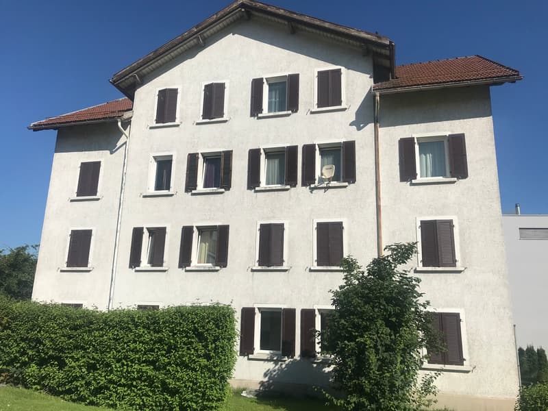 gemütliche 1-Zimmer-Wohnung im Osten der Stadt St. Gallen (7)