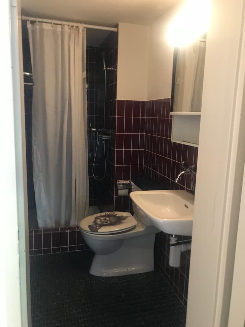 gemütliche 1-Zimmer-Wohnung im Osten der Stadt St. Gallen (5)