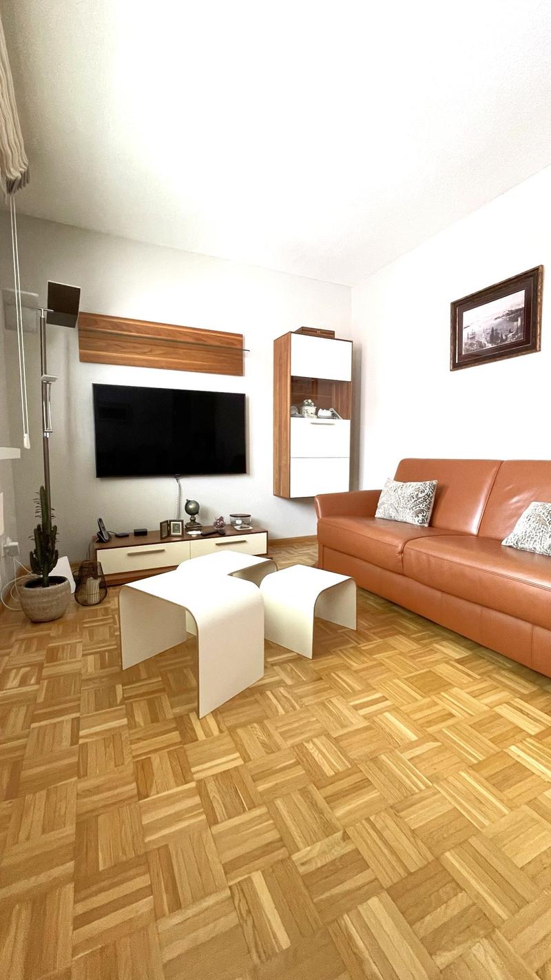 Möbliertes 1-Zimmer-Wohnung in Basel (1)