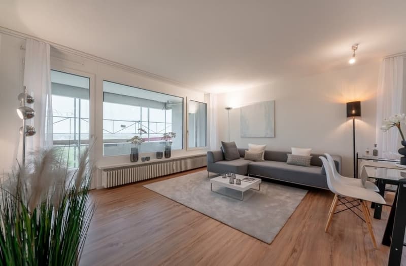 Attraktive 6.5 Zimmer Wohnung mit modernen Annehmlichkeiten in Grenznähe zu Basel (1)
