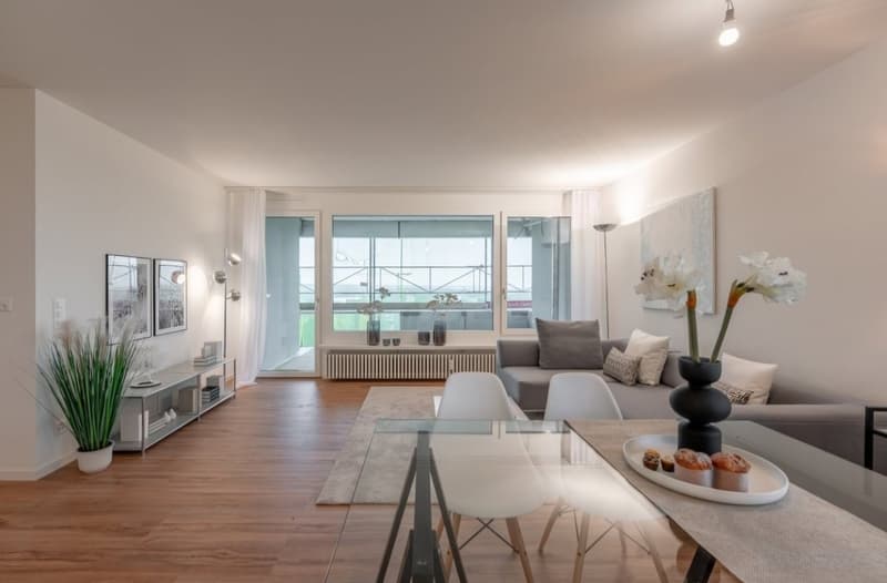 Attraktive 5.5 Zimmer Wohnung mit modernen Annehmlichkeiten in Grenznähe zu Basel (2)