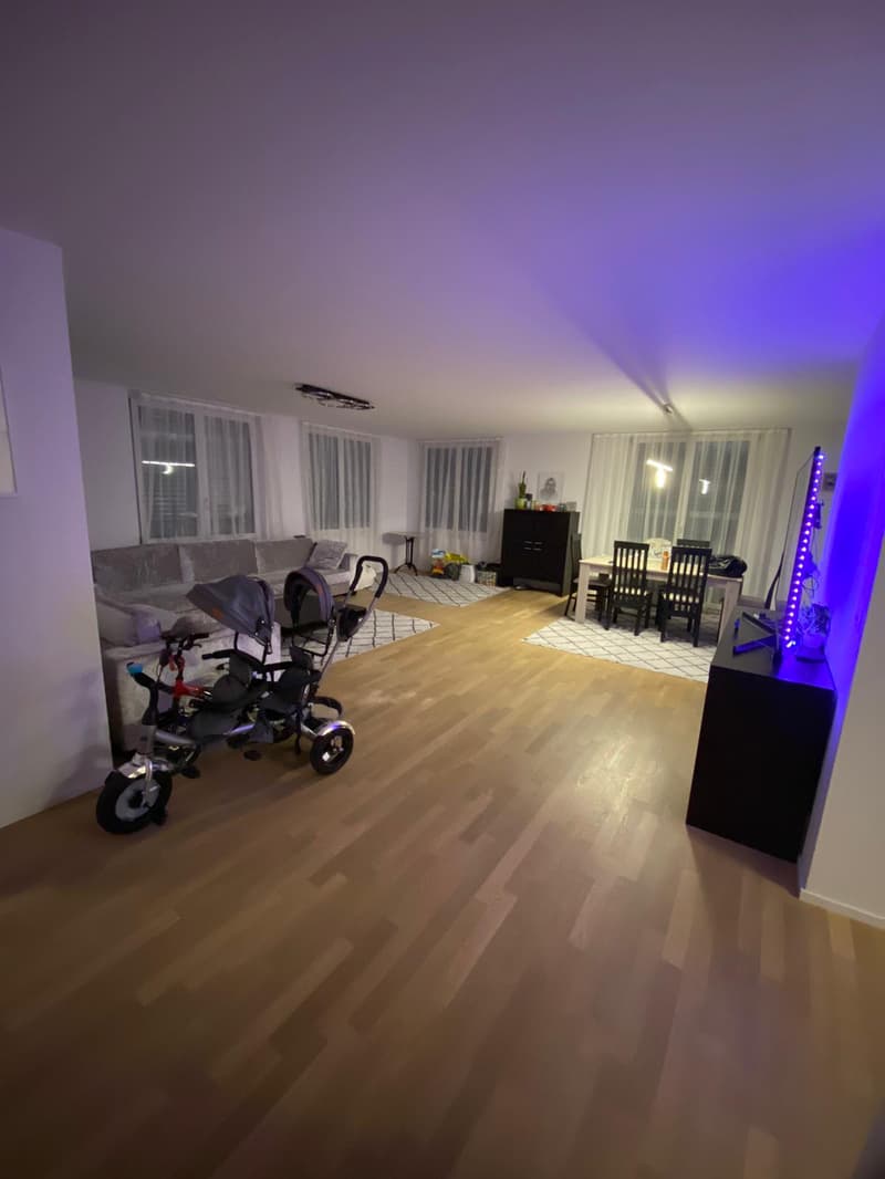 Helle und moderne 3.5 Zimmer Wohnung in Wil ZH (1)