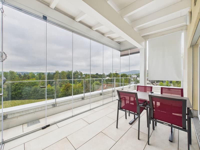 Moderne Attikawohnung mit Terrasse (8)