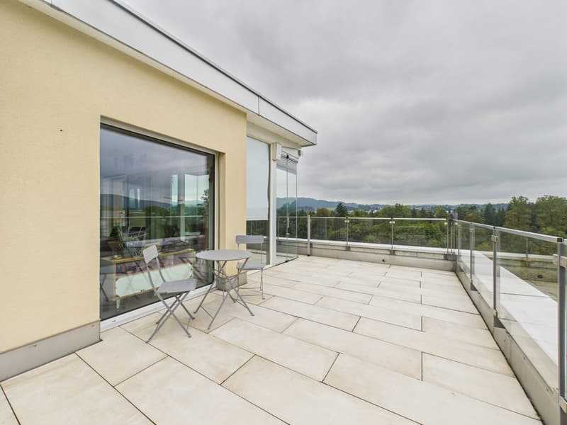 Moderne Attikawohnung mit Terrasse (9)