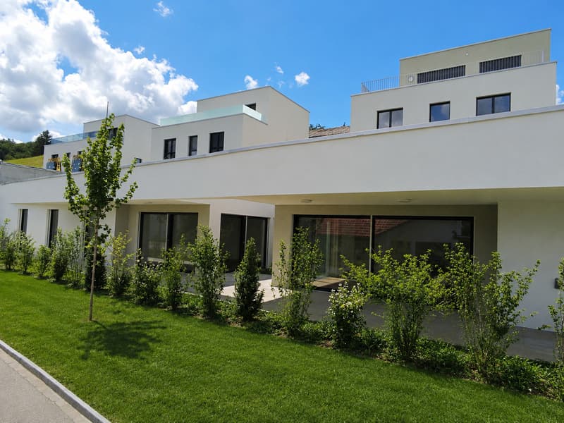 Letztes Verfügbares 4.5-Zimmer Terrassenhaus an ruhiger Lage (2)