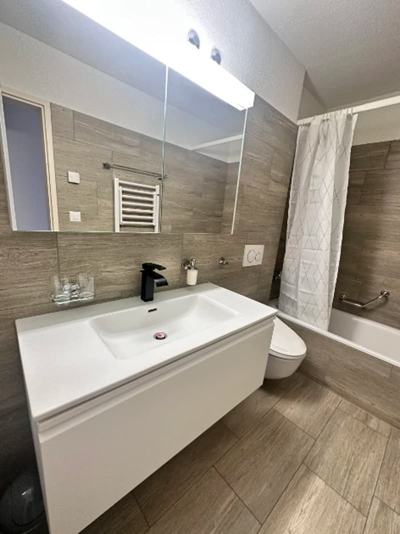 Charming 3.5-Room Apartment on the Ground Floor in Zug (6)
