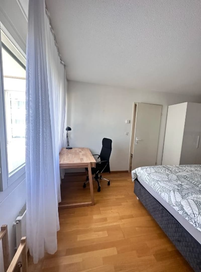 Charming 3.5-Room Apartment on the Ground Floor in Zug (5)
