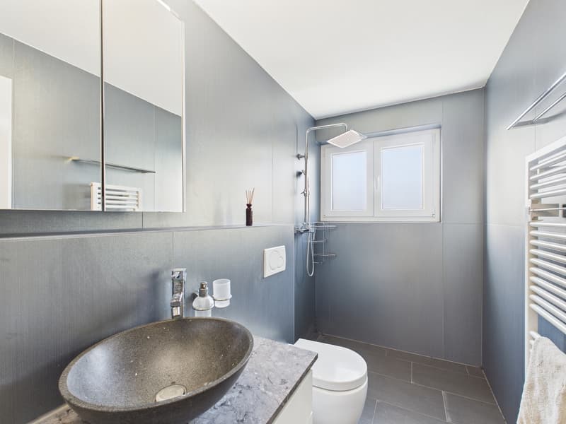 Exklusive Lage 5.5-Zimmer Reihenhaus Volketswil (7)