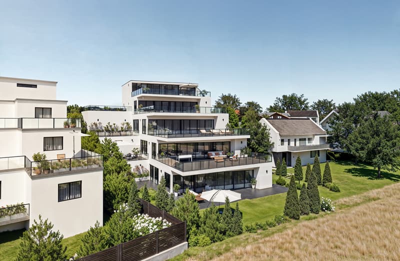 4.5 Zimmer Gartenwohnung mit Weitsicht Birrhard AG (9)