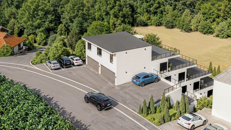 4.5 Zimmer Gartenwohnung mit Weitsicht Birrhard AG (10)